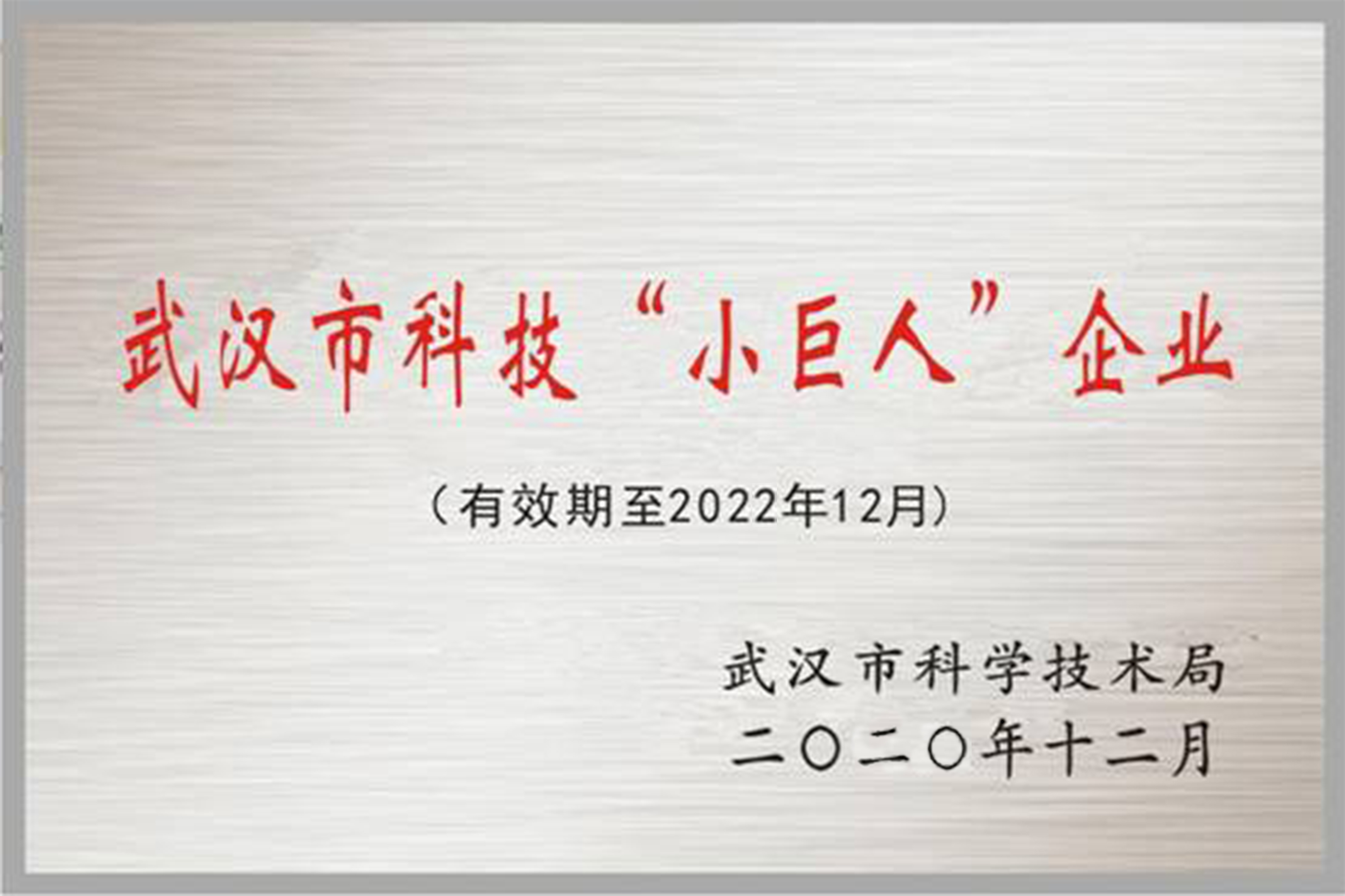 武汉市科技小巨人企业